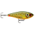 Scaled Roach